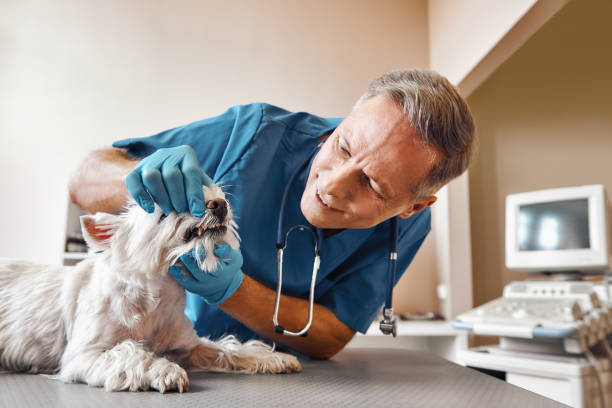 Best Pediatric Emergency Dentist in Augusta, KY